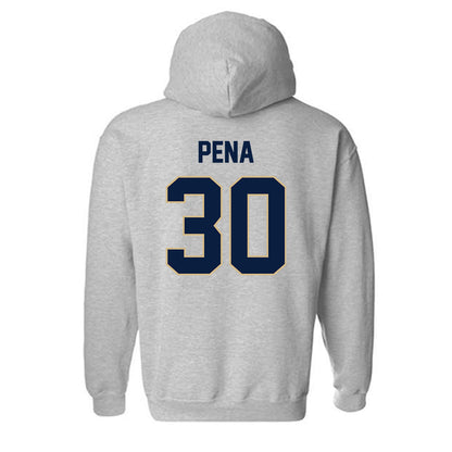 GWU - NCAA Men's Soccer : Diego Pena - Classic Fashion Shersey Hooded Sweatshirt-1