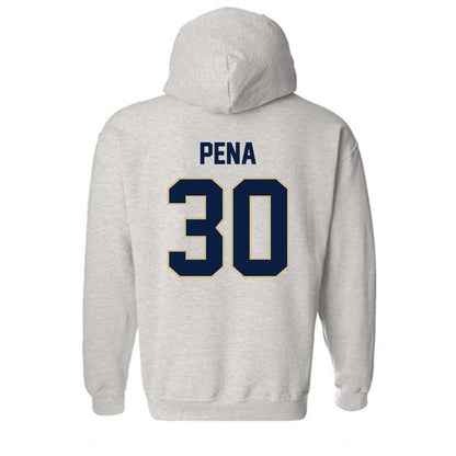 GWU - NCAA Men's Soccer : Diego Pena - Classic Fashion Shersey Hooded Sweatshirt-1