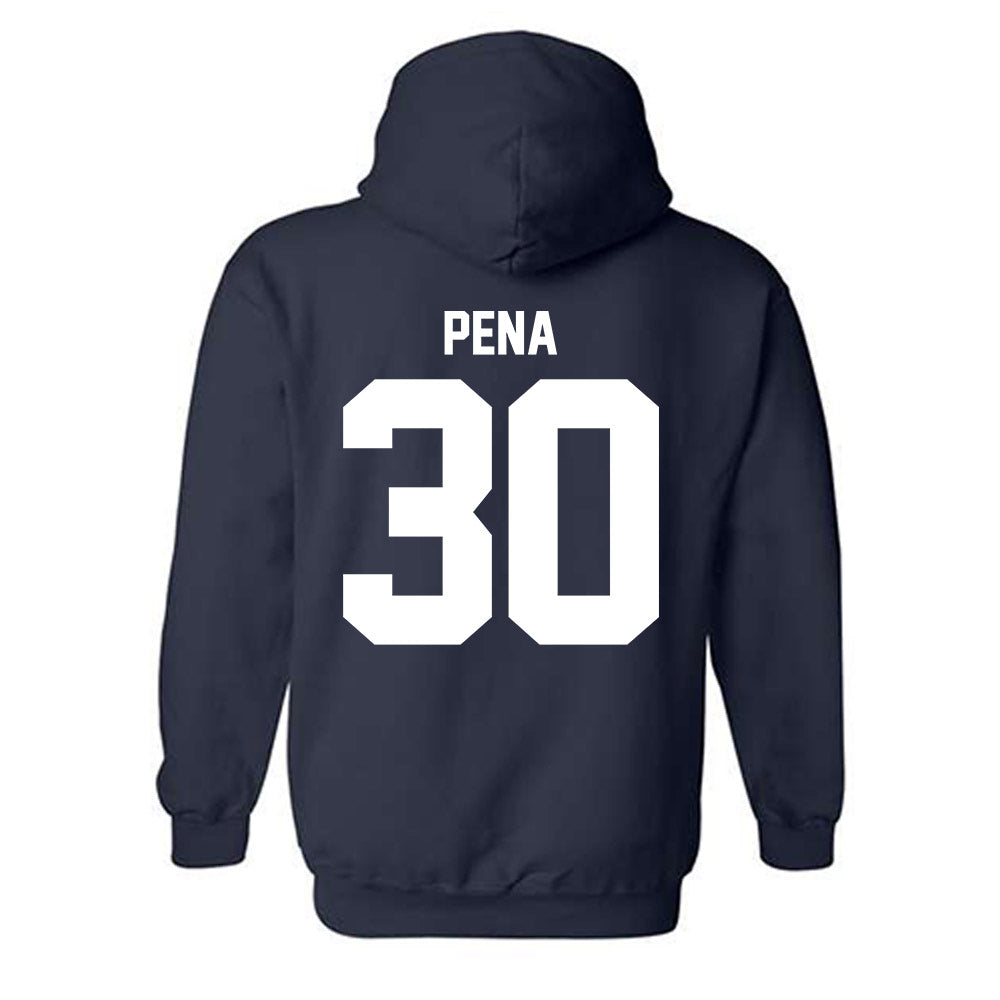 GWU - NCAA Men's Soccer : Diego Pena - Classic Fashion Shersey Hooded Sweatshirt-1