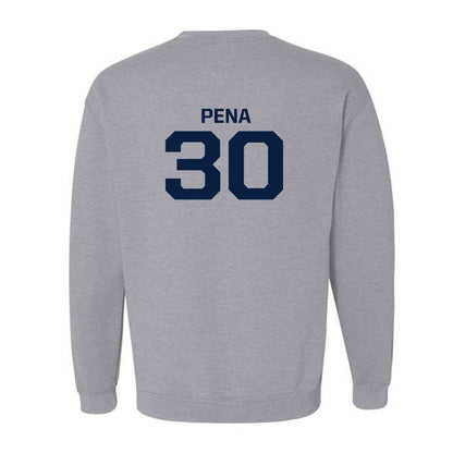 GWU - NCAA Men's Soccer : Diego Pena - Classic Shersey Crewneck Sweatshirt-1