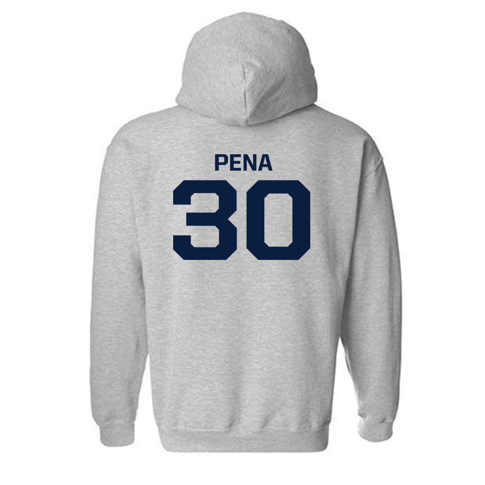 GWU - NCAA Men's Soccer : Diego Pena - Classic Shersey Hooded Sweatshirt-1