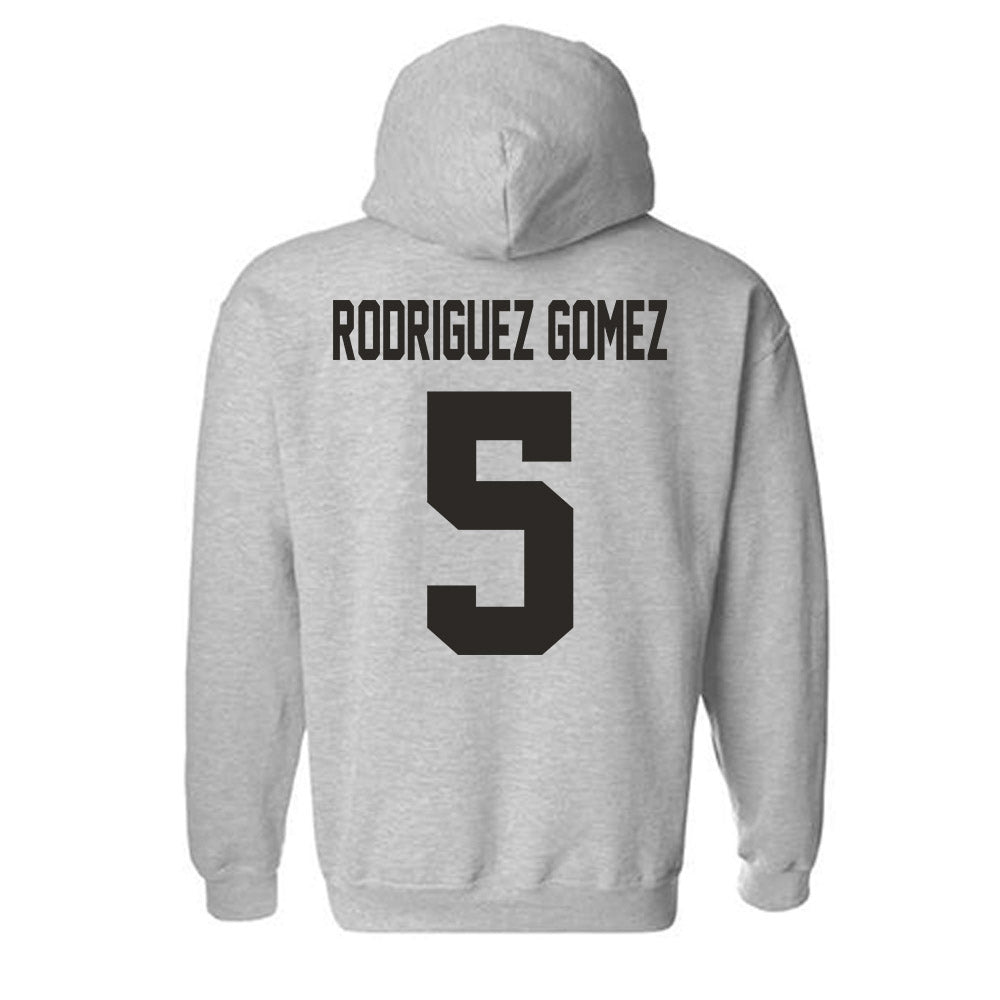 NMSU - NCAA Women's Soccer : Carolina Rodriguez Gomez - Classic Fashion Shersey Hooded Sweatshirt