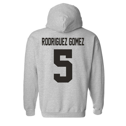 NMSU - NCAA Women's Soccer : Carolina Rodriguez Gomez - Classic Fashion Shersey Hooded Sweatshirt