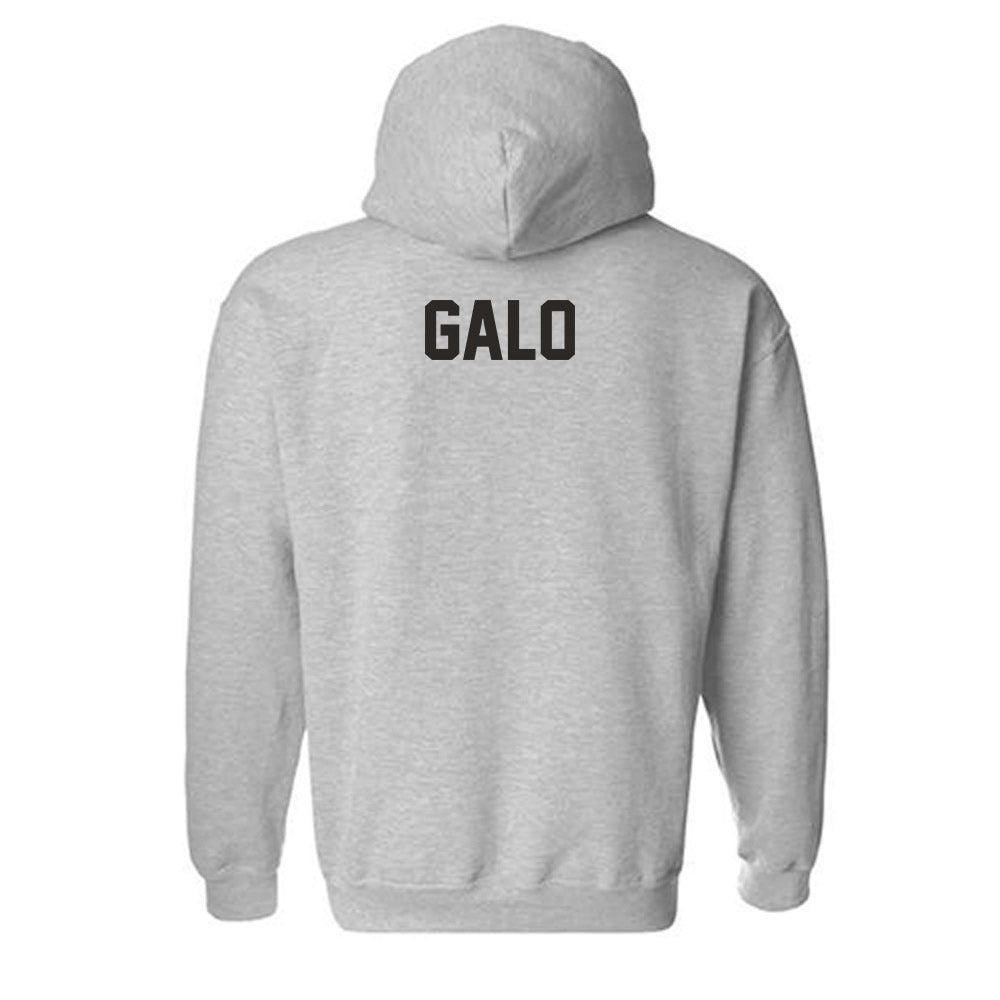 NMSU - NCAA Women's Swimming & Diving : Estel Galo - Classic Fashion Shersey Hooded Sweatshirt-1