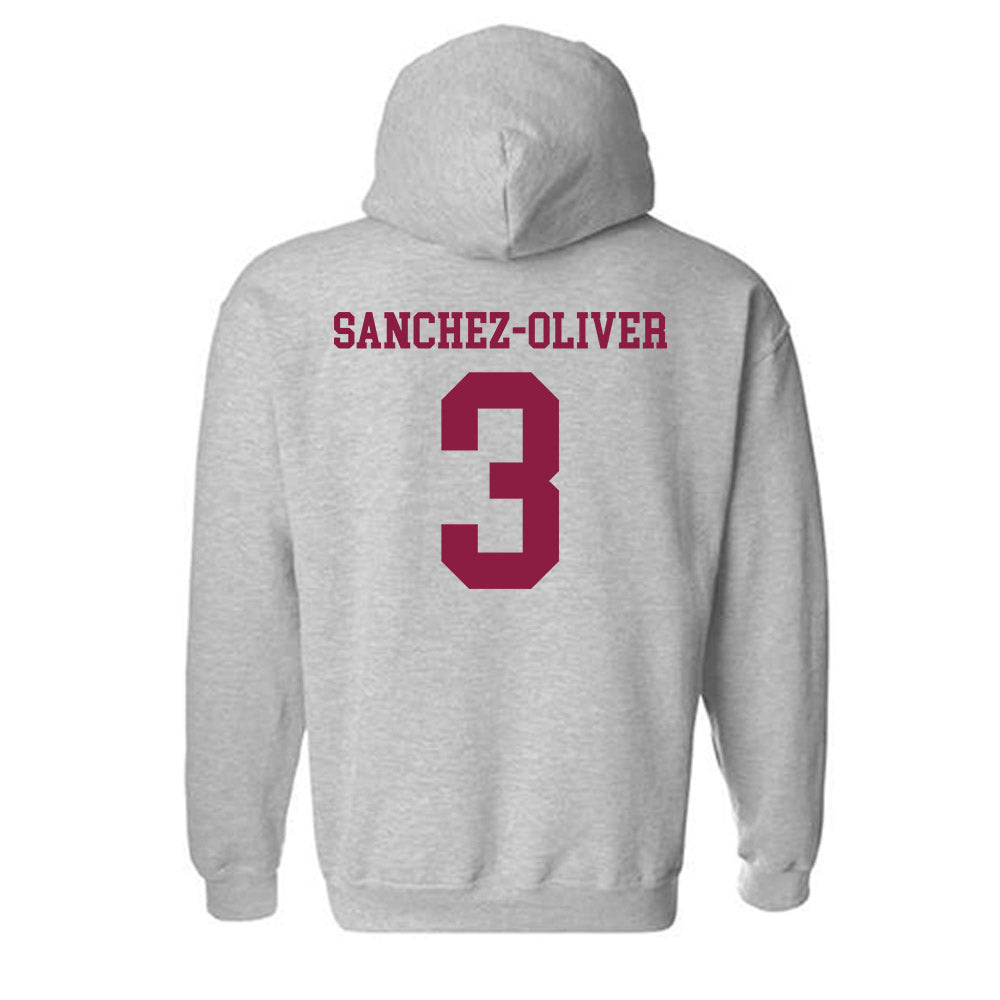 NMSU - NCAA Women's Basketball : Sianny Sanchez-Oliver - Classic Shersey Hooded Sweatshirt