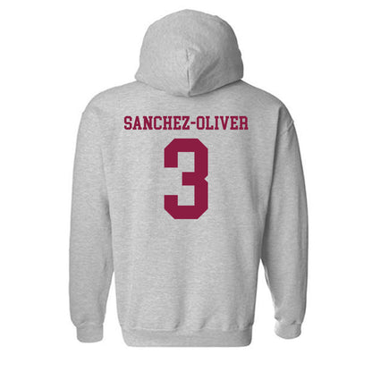 NMSU - NCAA Women's Basketball : Sianny Sanchez-Oliver - Classic Shersey Hooded Sweatshirt