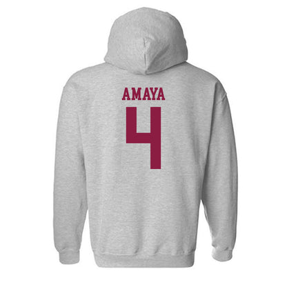 NMSU - NCAA Softball : Karyme Amaya - Classic Shersey Hooded Sweatshirt-1