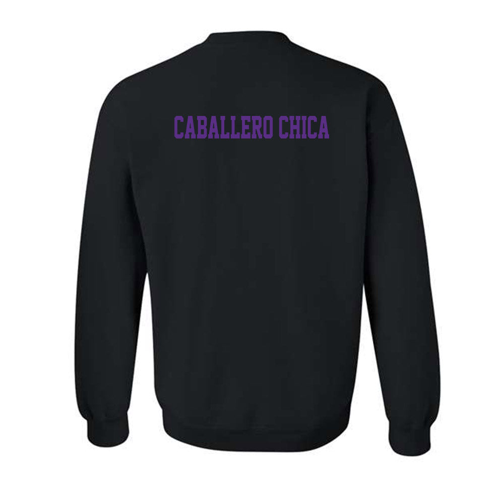 TCU - NCAA Women's Tennis : Raquel Caballero Chica - Classic Fashion Shersey Crewneck Sweatshirt-1