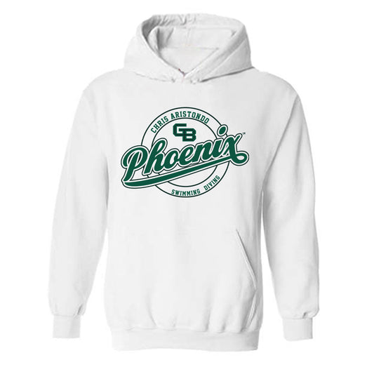 UW Green Bay - NCAA Men's Swimming & Diving : Chris Aristondo - Classic Fashion Shersey Hooded Sweatshirt-0