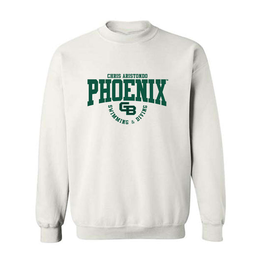 UW Green Bay - NCAA Men's Swimming & Diving : Chris Aristondo - Classic Fashion Shersey Crewneck Sweatshirt-0