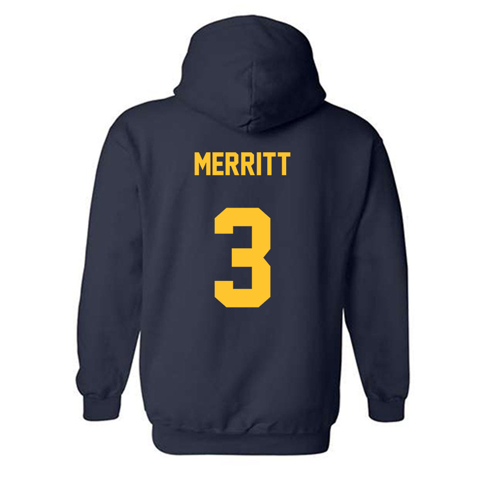East Tennessee State - NCAA Softball : Addison Merritt - Classic Shersey Hooded Sweatshirt