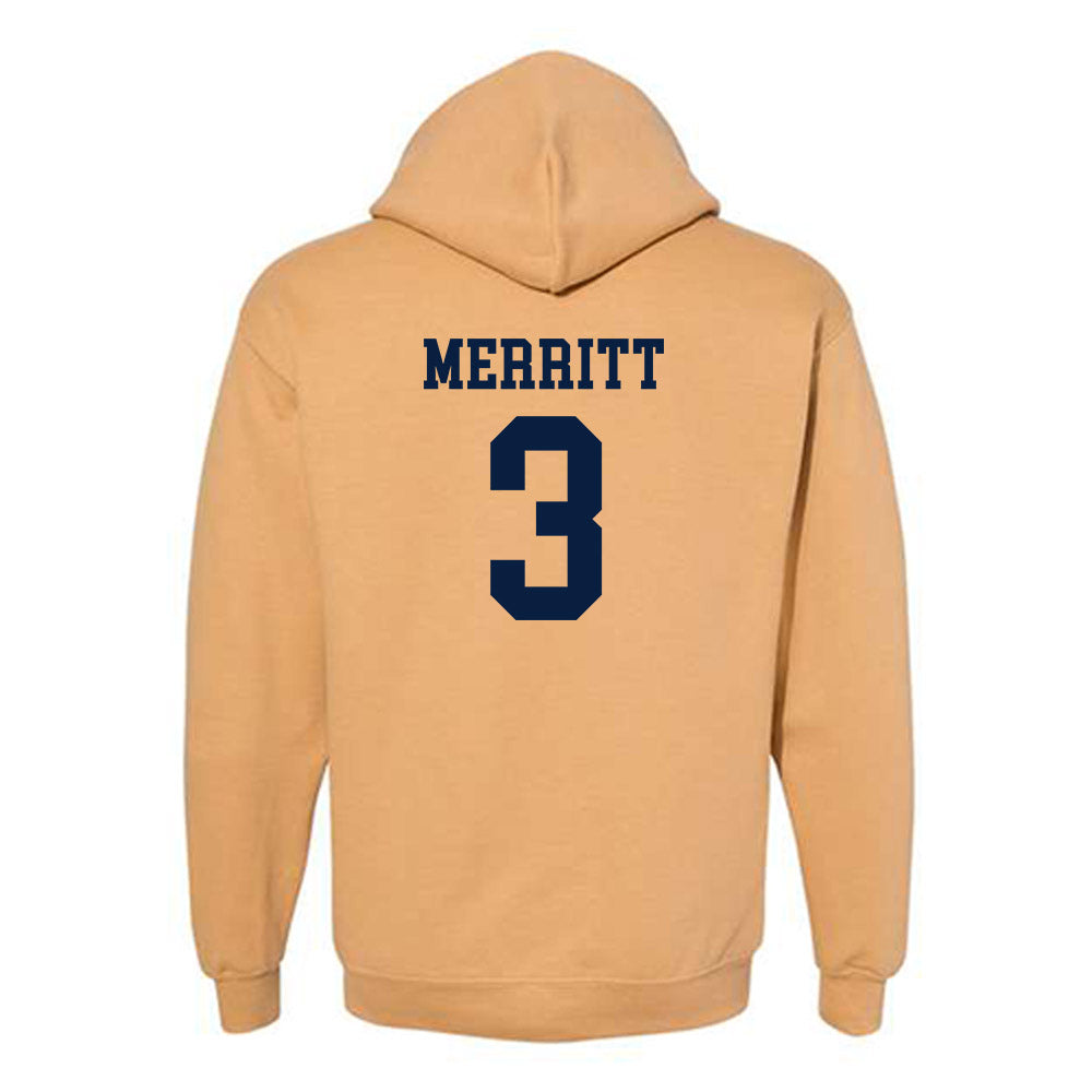 East Tennessee State - NCAA Softball : Addison Merritt - Classic Shersey Hooded Sweatshirt