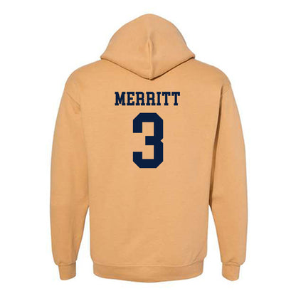 East Tennessee State - NCAA Softball : Addison Merritt - Classic Shersey Hooded Sweatshirt