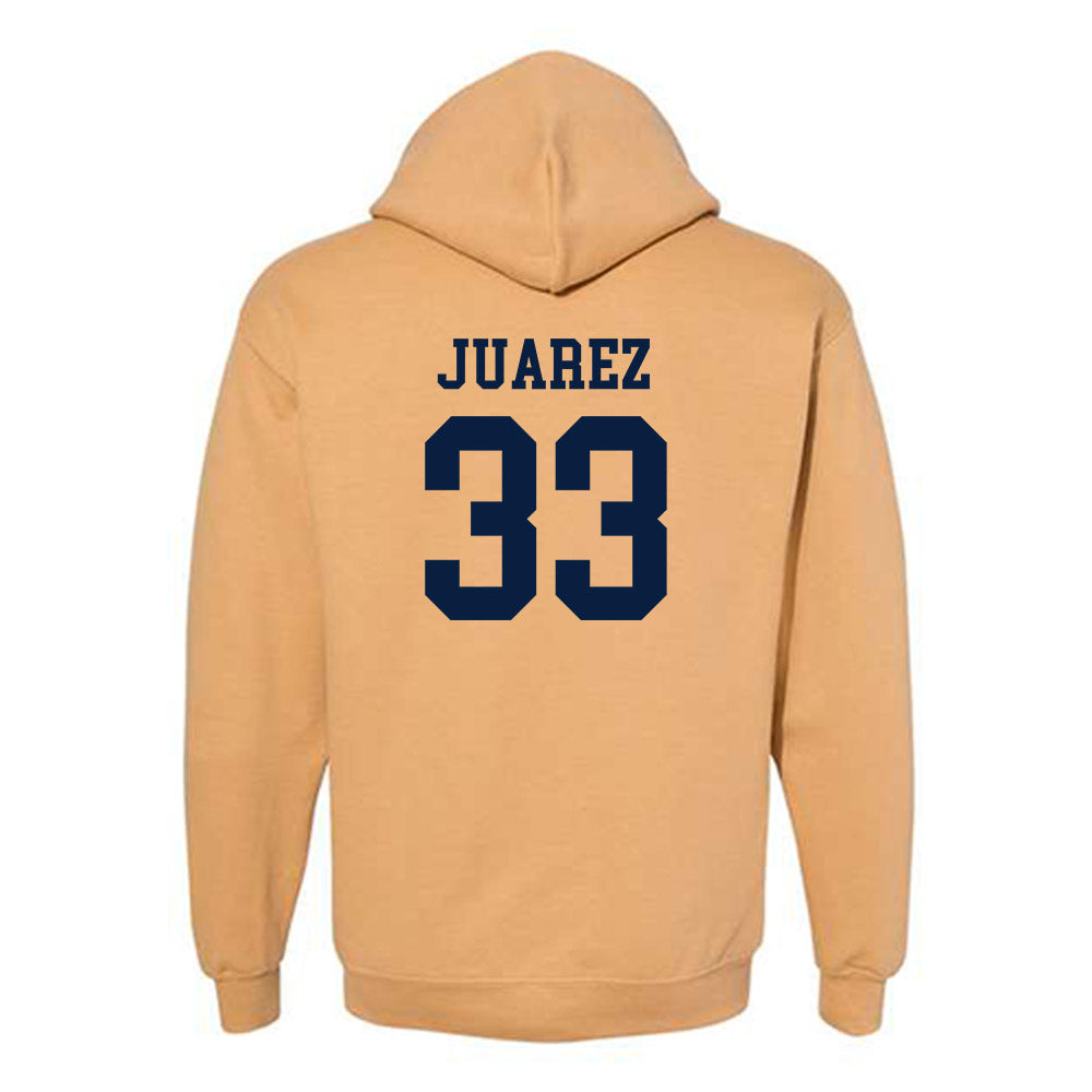 East Tennessee State - NCAA Baseball : Gabe Juarez - Classic Shersey Hooded Sweatshirt-1