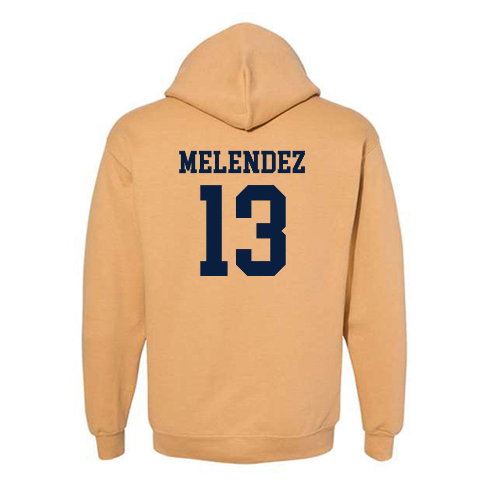 East Tennessee State - NCAA Baseball : Axel Melendez - Classic Shersey Hooded Sweatshirt-1