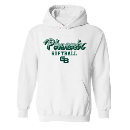 UW Green Bay - NCAA Softball : Madyson Baker - Classic Shersey Hooded Sweatshirt