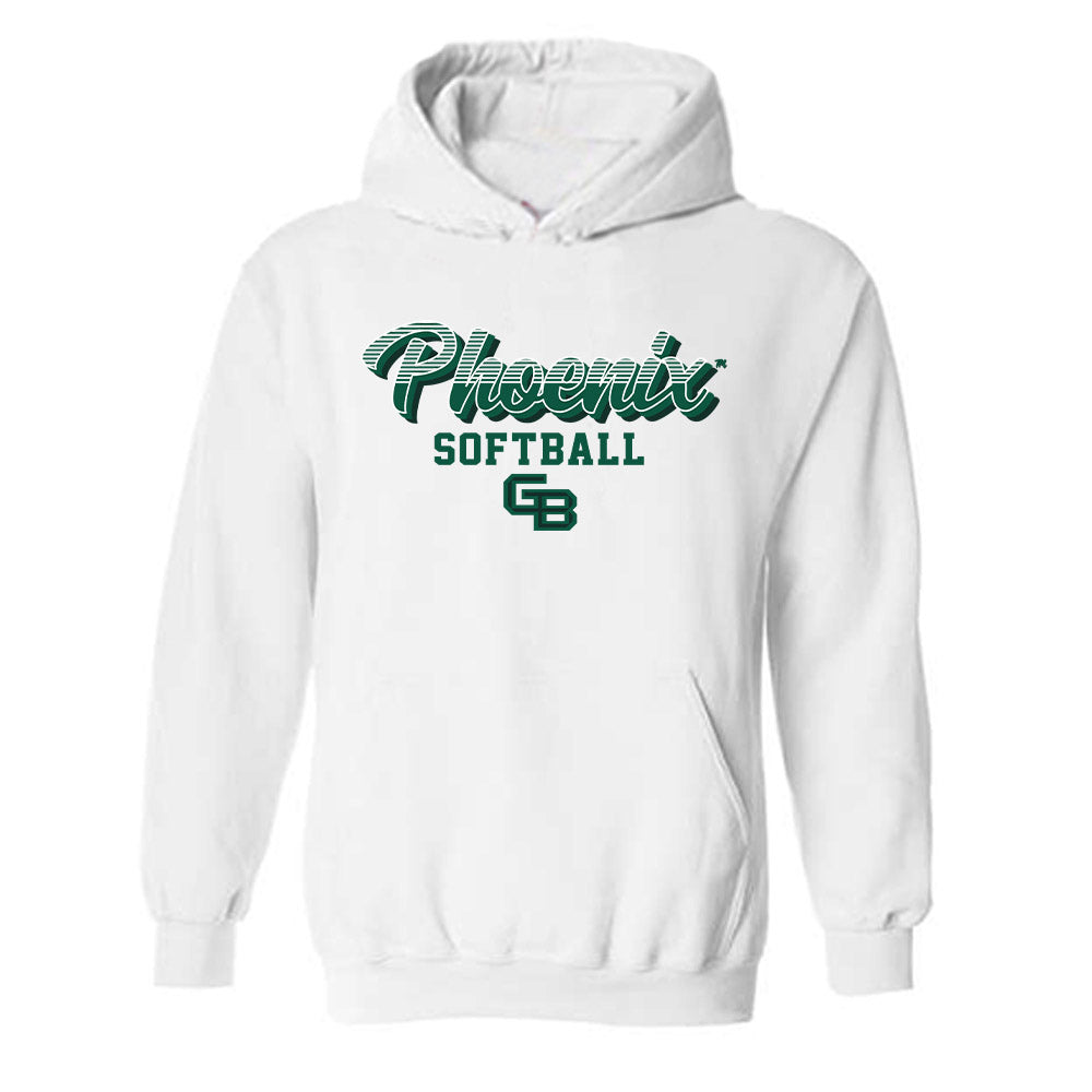 UW Green Bay - NCAA Softball : Emily Jones - Classic Shersey Hooded Sweatshirt