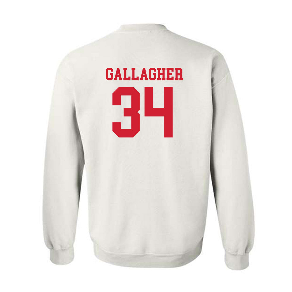 Fairfield - NCAA Men's Ice Hockey : Michael Gallagher - Classic Shersey Crewneck Sweatshirt-1