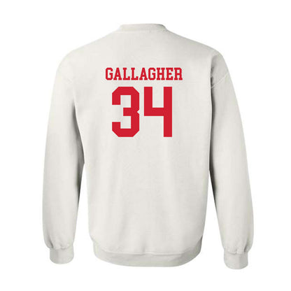 Fairfield - NCAA Men's Ice Hockey : Michael Gallagher - Classic Shersey Crewneck Sweatshirt-1