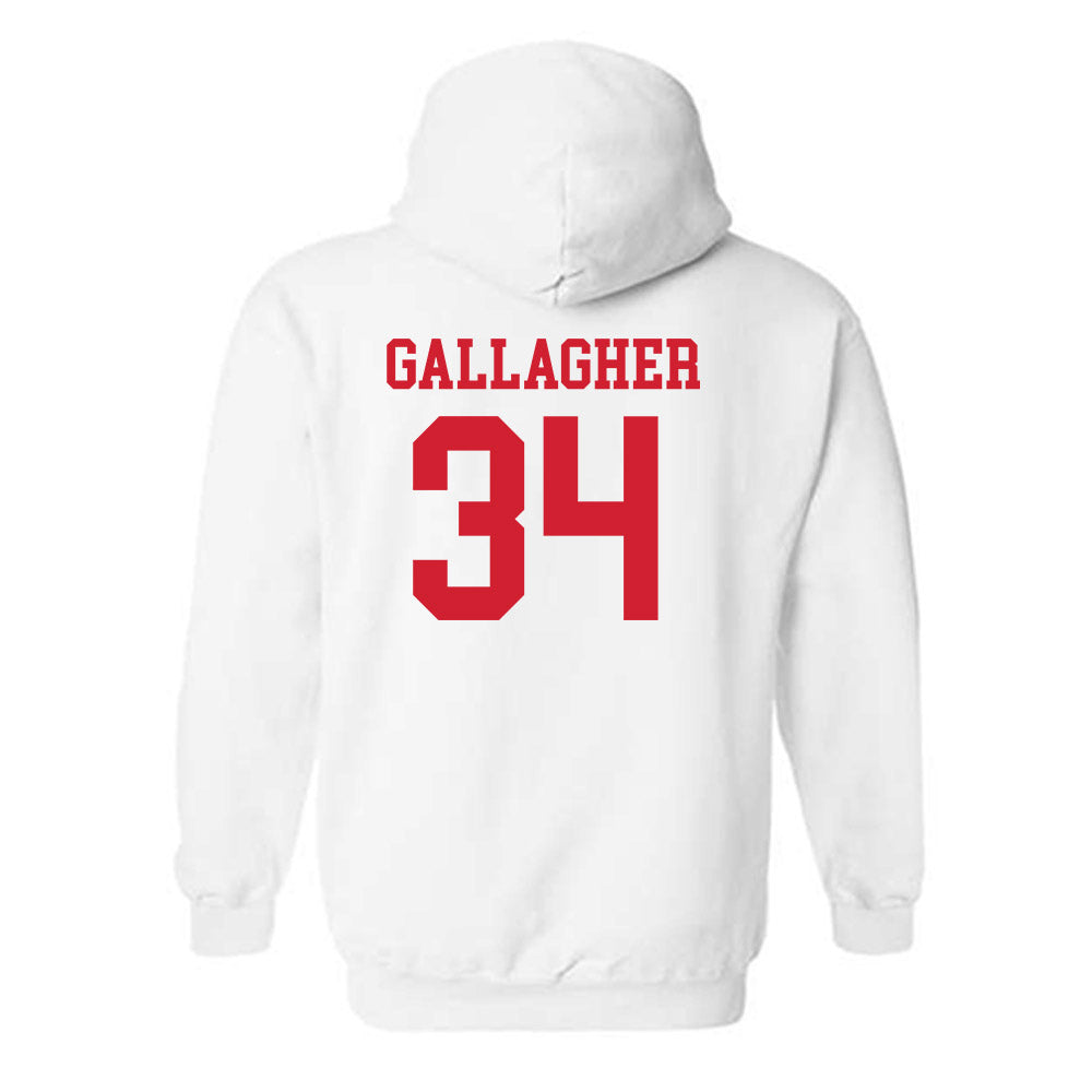 Fairfield - NCAA Men's Ice Hockey : Michael Gallagher - Classic Shersey Hooded Sweatshirt-1