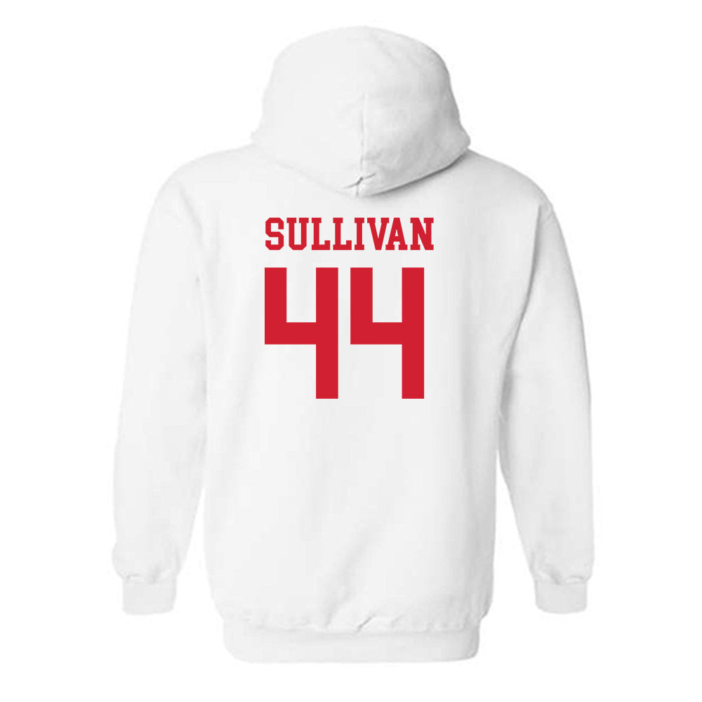 Fairfield - NCAA Women's Lacrosse : Sarah Sullivan - Classic Shersey Hooded Sweatshirt