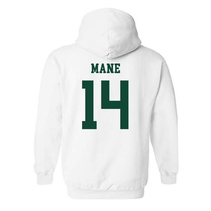 Hawaii - NCAA Women's Volleyball : Tyla Reese Mane - Classic Shersey Hooded Sweatshirt-1