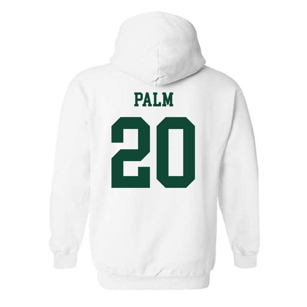 Hawaii - NCAA Men's Basketball : Jerome Palm - Classic Fashion Shersey Hooded Sweatshirt