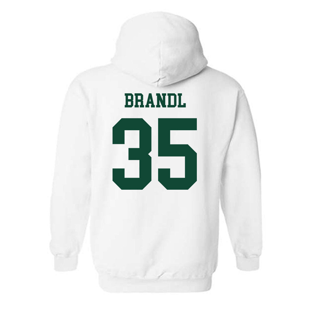Hawaii - NCAA Softball : Macy Brandl - Classic Shersey Hooded Sweatshirt-1