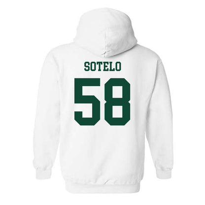 Hawaii - NCAA Football : Zhen-keith Sotelo - Classic Fashion Shersey Hooded Sweatshirt