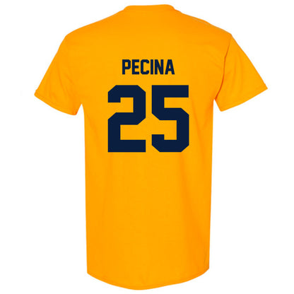 AU - NCAA Football : Jake Pecina - Classic Fashion Shersey T-Shirt