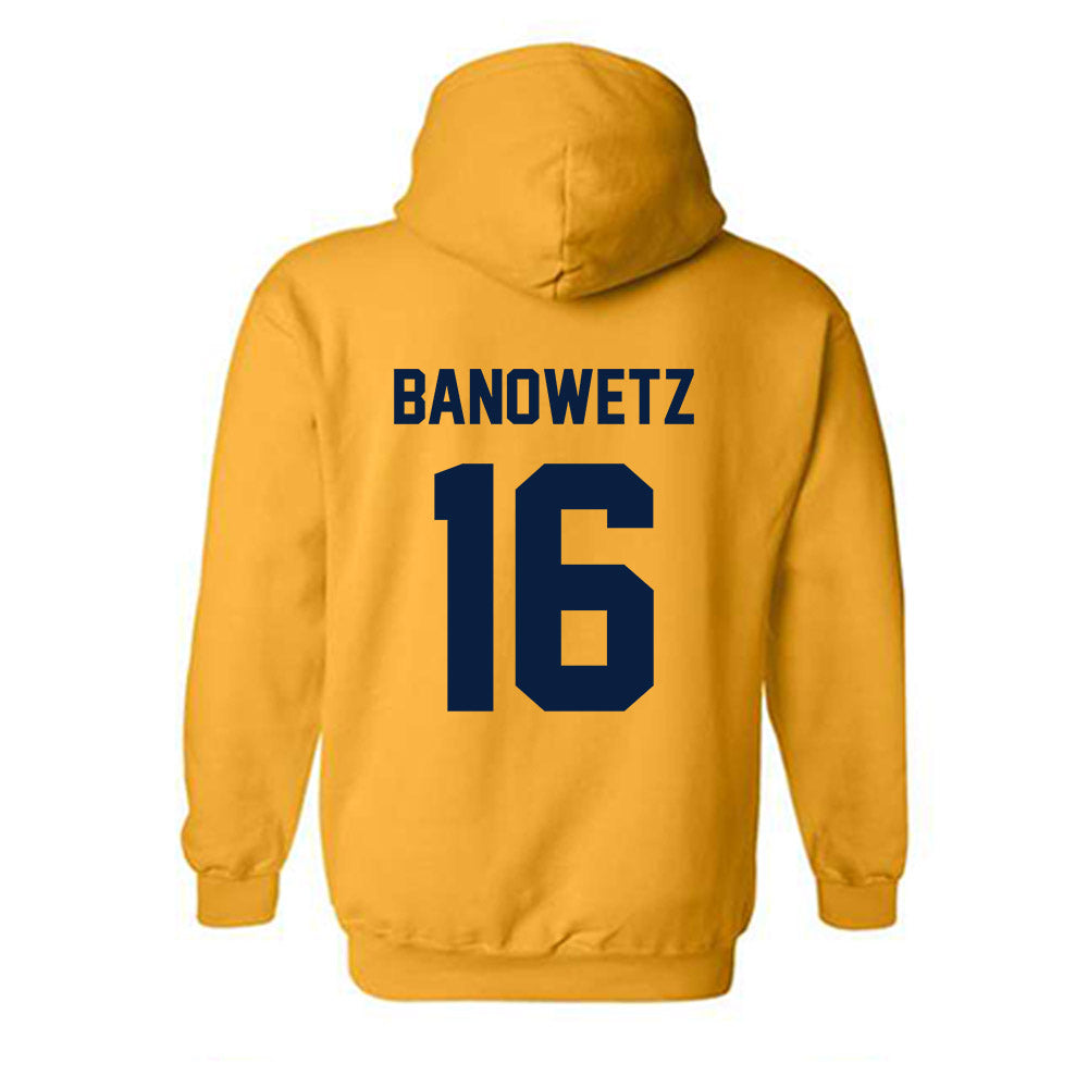 AU - NCAA Baseball : Nick Banowetz - Classic Fashion Shersey Hooded Sweatshirt