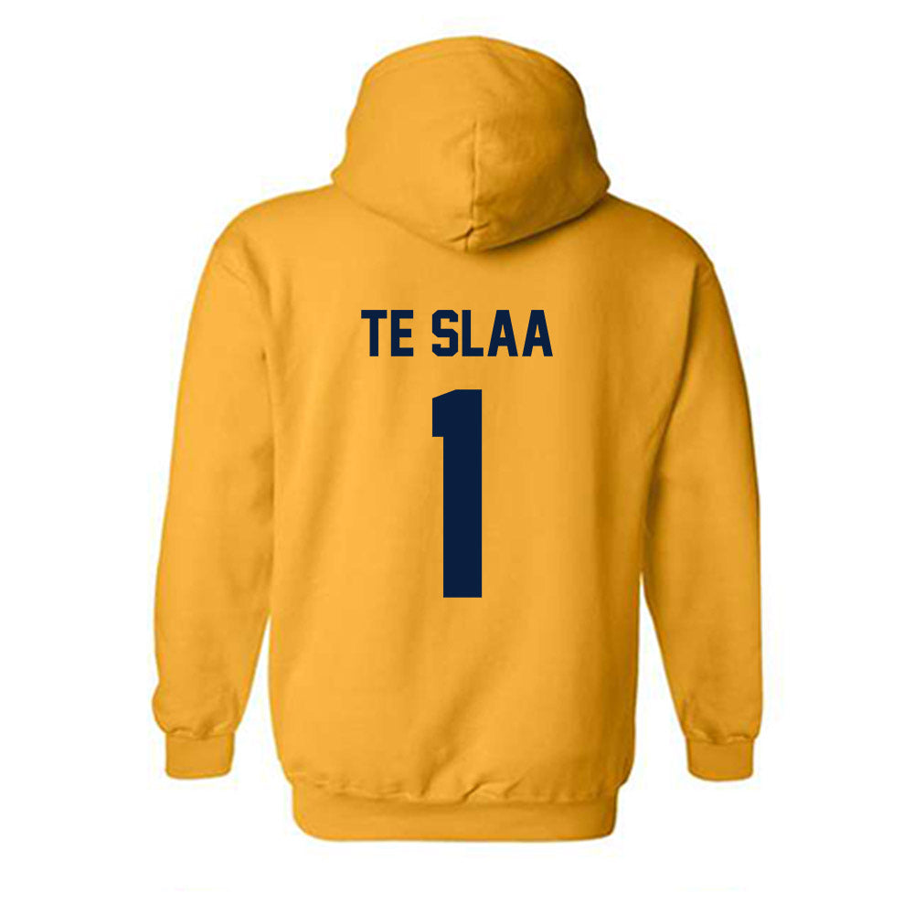 AU - NCAA Men's Basketball : Tanner Te Slaa - Classic Fashion Shersey Hooded Sweatshirt