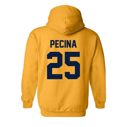 AU - NCAA Football : Jake Pecina - Classic Shersey Hooded Sweatshirt