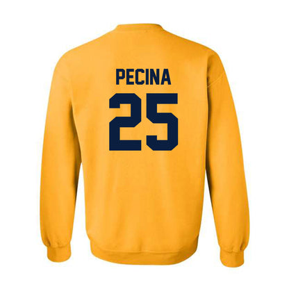 AU - NCAA Football : Jake Pecina - Classic Shersey Crewneck Sweatshirt