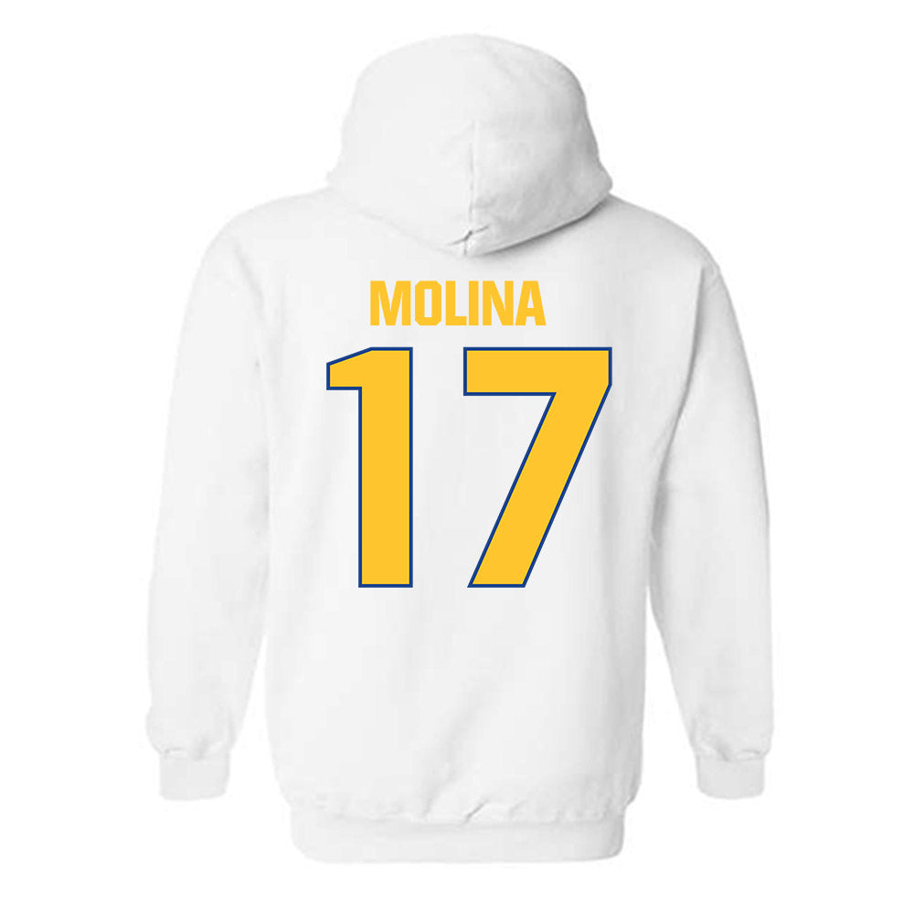 CSU Bakersfield - NCAA Softball : Jocelynn Molina - Classic Shersey Hooded Sweatshirt-1