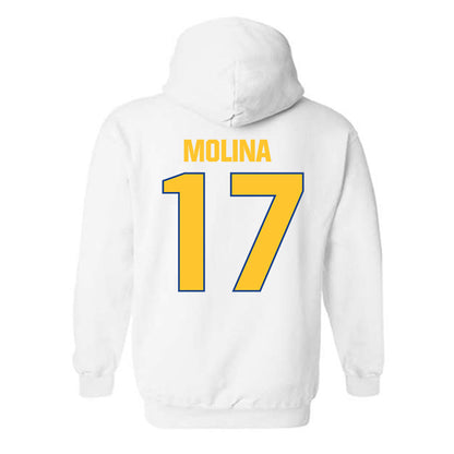 CSU Bakersfield - NCAA Softball : Jocelynn Molina - Classic Shersey Hooded Sweatshirt-1