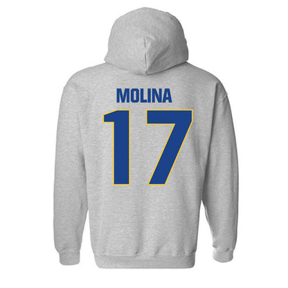 CSU Bakersfield - NCAA Softball : Jocelynn Molina - Classic Shersey Hooded Sweatshirt-1
