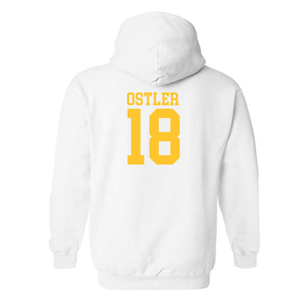 CSU Bakersfield - NCAA Beach Volleyball : Olivia Ostler - Classic Shersey Hooded Sweatshirt-1