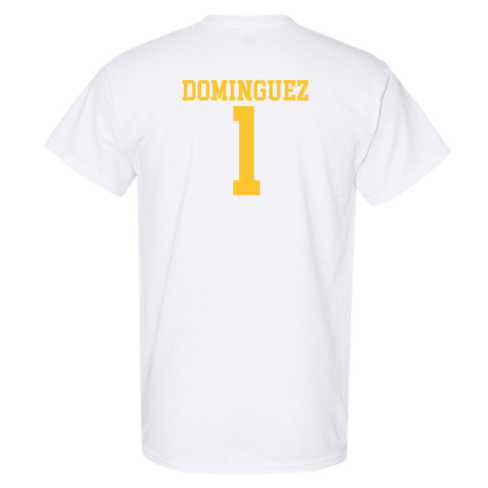 CSU Bakersfield - NCAA Men's Swimming & Diving : Parker Dominguez - Classic Shersey T-Shirt