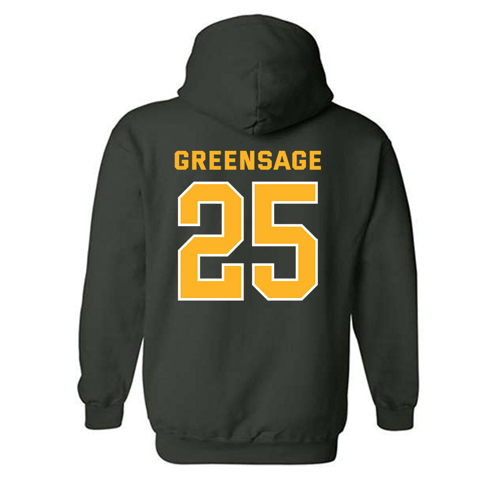 Baylor - NCAA Women's Soccer : Morgan Greensage - Classic Fashion Shersey Hooded Sweatshirt