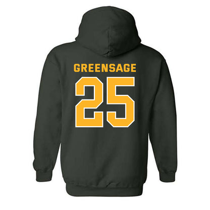 Baylor - NCAA Women's Soccer : Morgan Greensage - Classic Fashion Shersey Hooded Sweatshirt