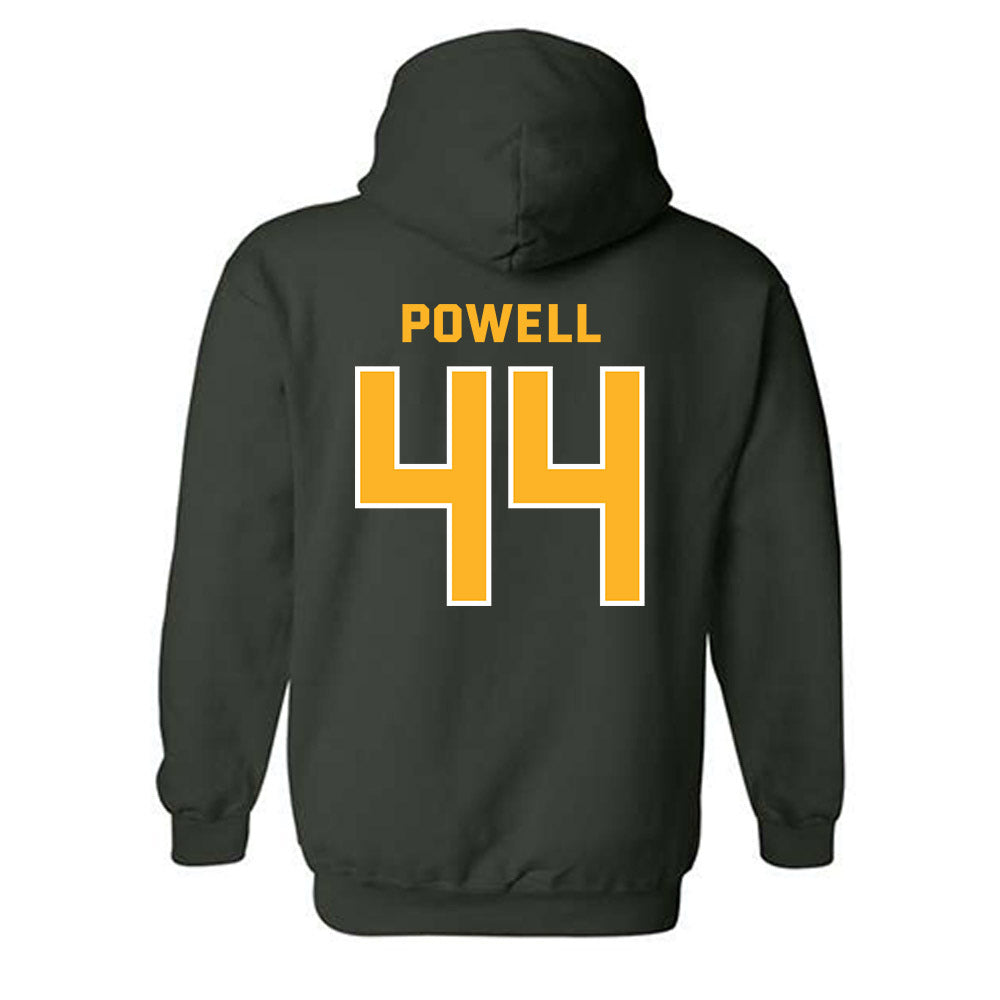 Baylor - NCAA Men's Basketball : Caden Powell - Classic Fashion Shersey Hooded Sweatshirt-1