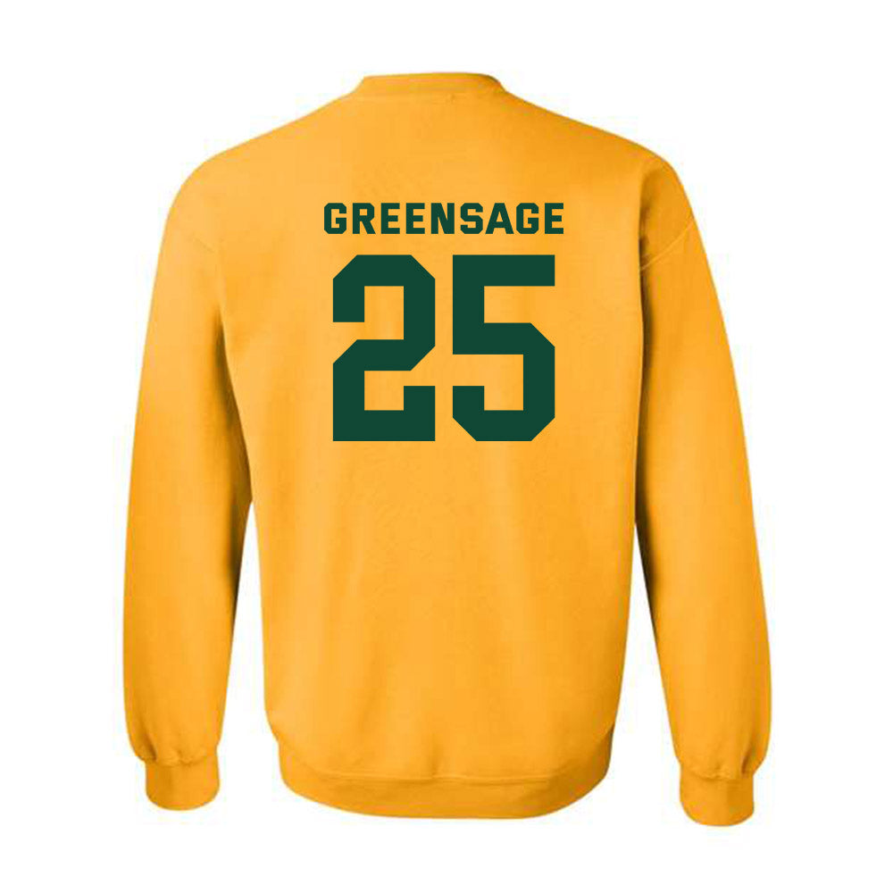 Baylor - NCAA Women's Soccer : Morgan Greensage - Crewneck Sweatshirt