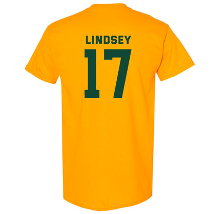 Baylor - NCAA Softball : Georgia Lindsey - Classic Fashion Shersey T-Shirt