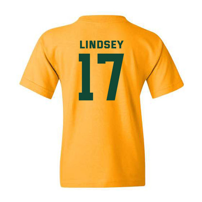Baylor - NCAA Softball : Georgia Lindsey - Classic Fashion Shersey Youth T-Shirt