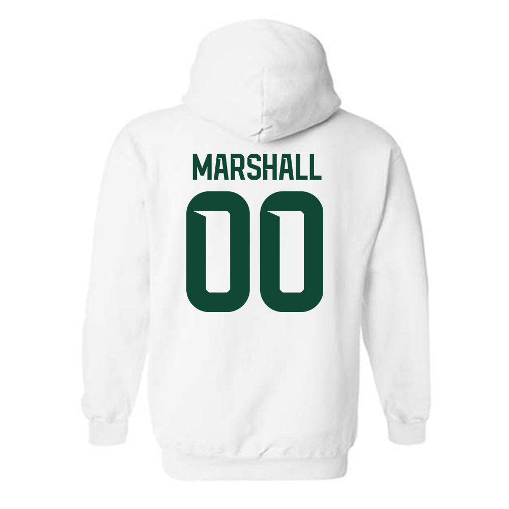 Baylor - NCAA Softball : Kaygen Marshall - Classic Shersey Hooded Sweatshirt-1