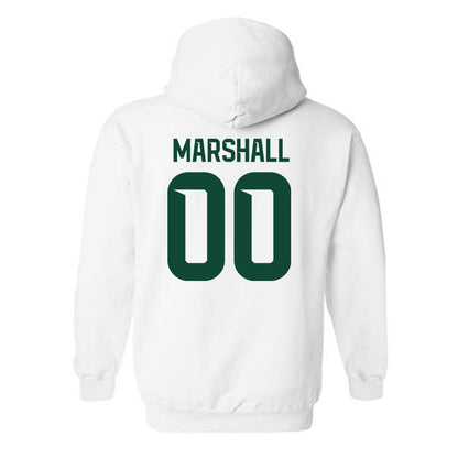 Baylor - NCAA Softball : Kaygen Marshall - Classic Shersey Hooded Sweatshirt-1
