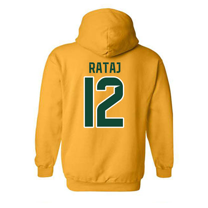 Baylor - NCAA Men's Basketball : Michael Rataj - Classic Shersey Hooded Sweatshirt-1