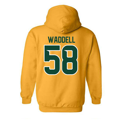 Baylor - NCAA Softball : Averie Waddell - Classic Shersey Hooded Sweatshirt