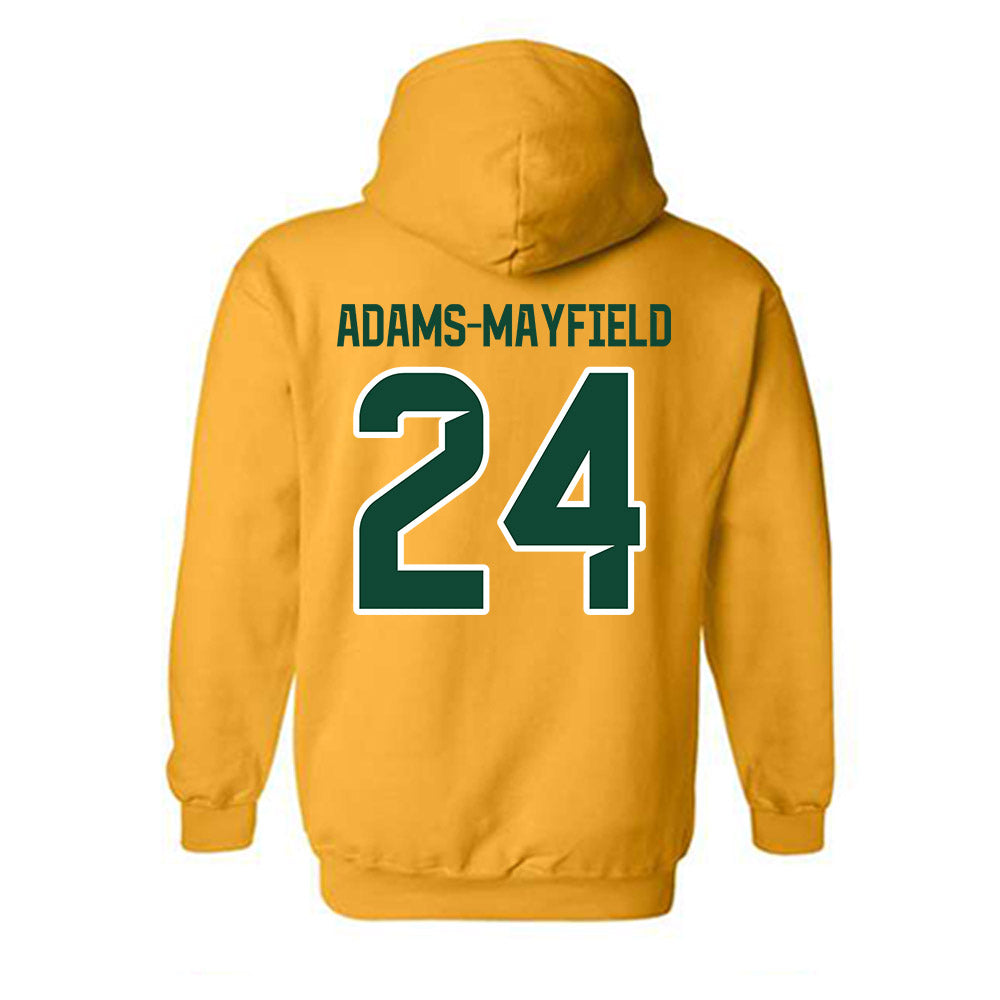Baylor - NCAA Acrobatics & Tumbling : Aaliyah Adams-Mayfield - Classic Shersey Hooded Sweatshirt-1